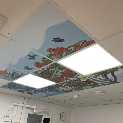 Dalles plafond Robert Debre