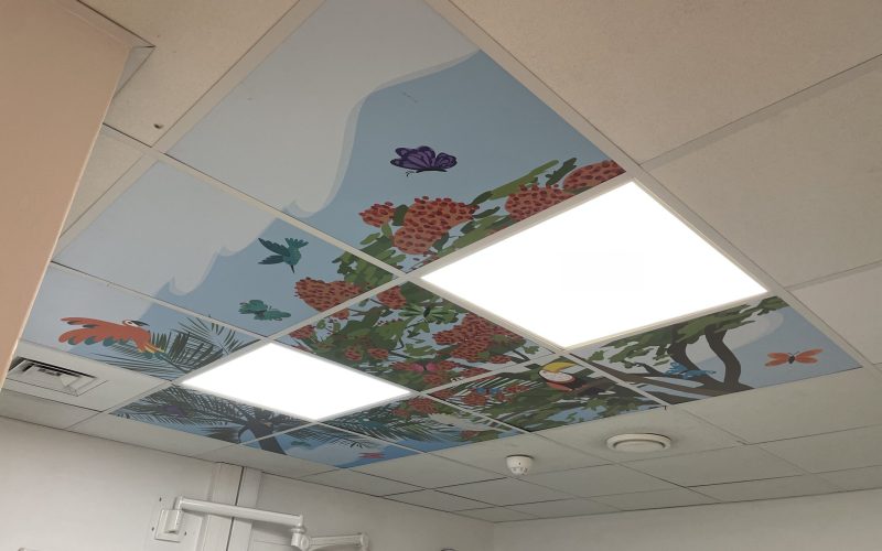 Dalles plafond Robert Debre